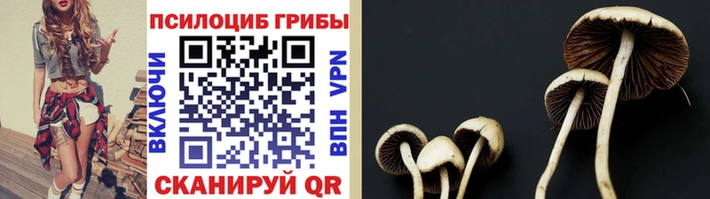 Галлюциногенные грибы Psilocybe  ОМГ ОМГ как войти  Крымск 