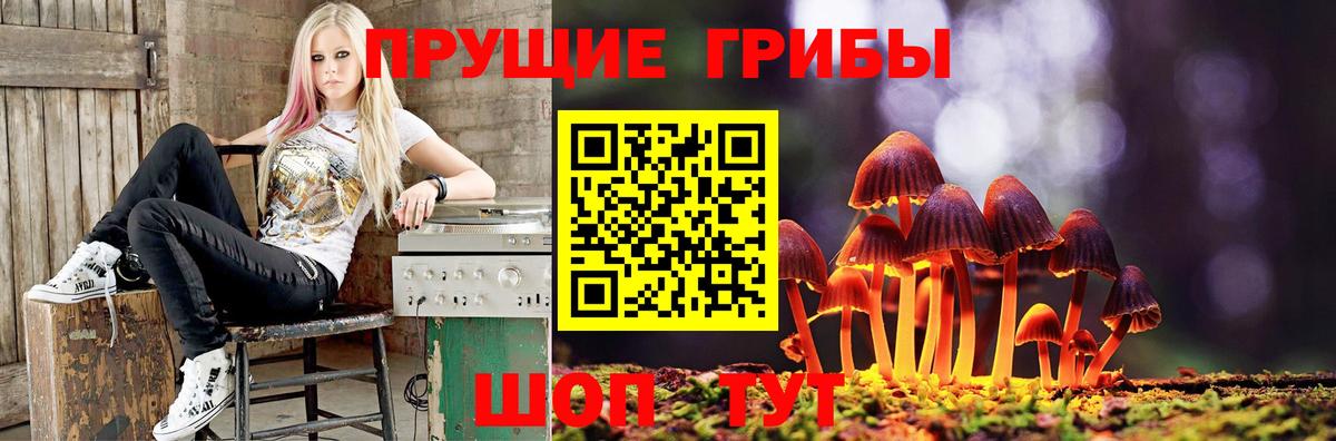 Крымск  Псилоцибиновые грибы MAGIC MUSHROOMS  Вход с VPN 