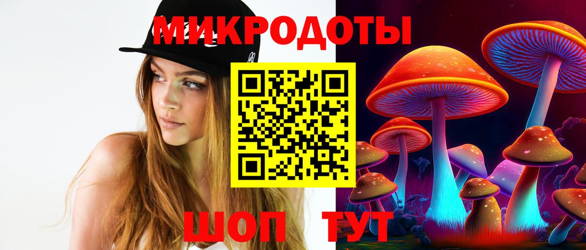 Галлюциногенные грибы Psilocybe Крымск